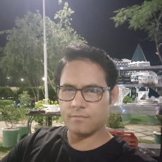 Syed Sajid Zaidi-Freelancer in Bahawalpur,Pakistan