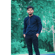 Raj Sing-Freelancer in Patna,India