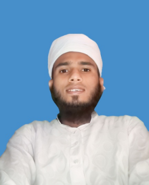 Mohammad Sakib Mia-Freelancer in Netrokona,Bangladesh