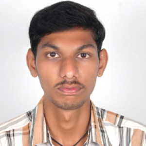 Ramesh Kumar Mamidala-Freelancer in Hyderabad,India