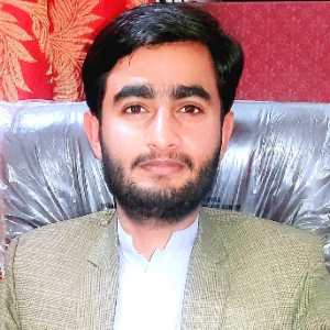 Muhammad Hamza-Freelancer in Fateh Jang,Pakistan