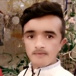 Muhammad Umer-Freelancer in Toba Tek Singh,Pakistan
