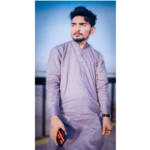 Husnain Shah-Freelancer in Gujrat,Pakistan