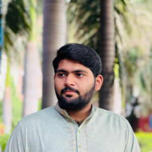 Muhammad Haseeb Sultan-Freelancer in Lahore,Pakistan
