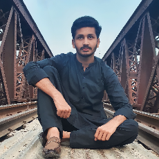 Habib Ullah-Freelancer in Sargodha,Pakistan