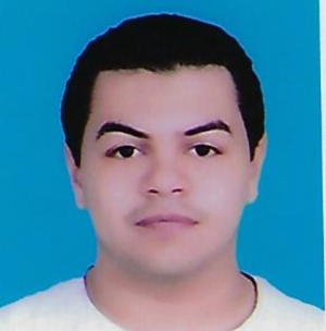 Maichel Anis Shaker Ayoub Sanada-Freelancer in Kuwait City,Kuwait