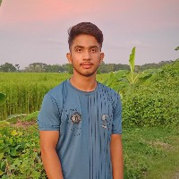 Shital Biswas-Freelancer in Rajbari District,Bangladesh