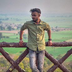 Anshul Shakya-Freelancer in Biaora,India