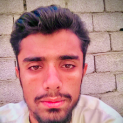 Ch Muhmmad Arif-Freelancer in Rawalpindi,Pakistan