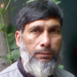 Aftab Alam-Freelancer in Charbagh Swat,Pakistan