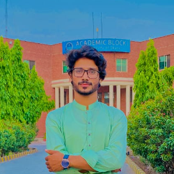 Naveed Ali (IT)-Freelancer in Lahore,Pakistan