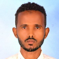 Mohammed Amin-Freelancer in ዞን 1 (አዋሲ ራሱ),Ethiopia