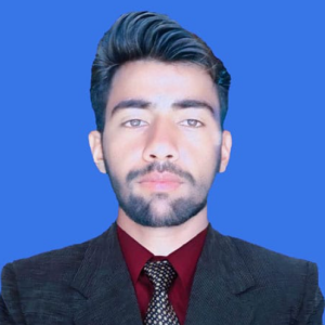 Muhmmad Ramzan-Freelancer in Taunsa,Pakistan