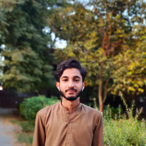 Qamar U Zman-Freelancer in Lahore,Pakistan