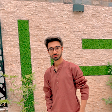 Jalees Hassan-Freelancer in Lahore,Pakistan