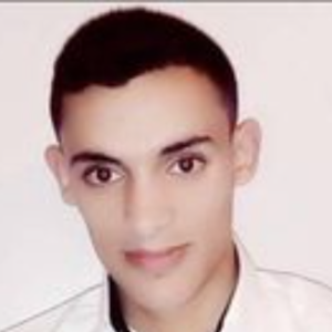 HAMID SOURDOU-Freelancer in Sidi Kacem,Morocco