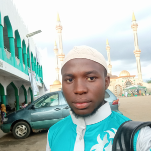 Abdul Fattah Ramadan-Freelancer in Ilorin,Nigeria