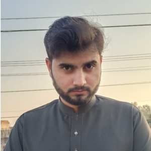 Muhammad Tayyab-Freelancer in Gujrat,Pakistan