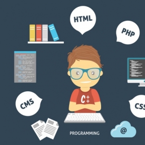 Reminisce-Freelancer in ,Nigeria