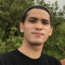 Ricky Pacaldo-Freelancer in Mandaue City,Philippines
