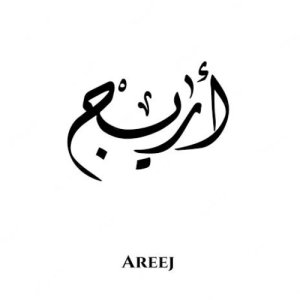 Areej Fatima-Freelancer in Chakwal,Pakistan