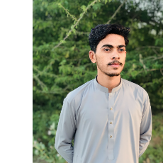 Muhammad Zeeshan-Freelancer in Dera Ismail Khan,Pakistan