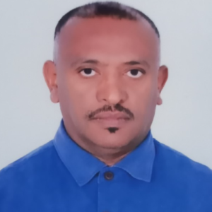 Abebe Ejigu Gessesse-Freelancer in Addis Ababa,Ethiopia