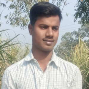 Bharat Kumar-Freelancer in phagwara,India