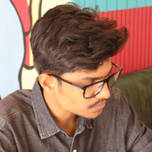 Nilesh Pandey-Freelancer in Jaipur,India