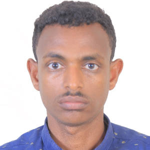 Getaw Tessema-Freelancer in Addis Ababa,Ethiopia