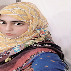 Samreen Ahsan-Freelancer in Chakwal,Pakistan