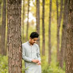 Muhammad Noman-Freelancer in Islamabad,Pakistan