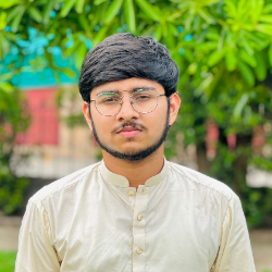 Hunain Mughal-Freelancer in Gujranwala,Pakistan