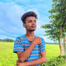 Abdullah Al Mafi-Freelancer in Mymensingh,Bangladesh