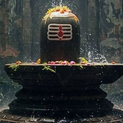 Nihashini p-Freelancer in Vellore,India