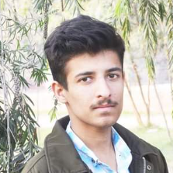 Muhammad Hassan-Freelancer in Lahore,Pakistan