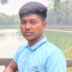 Rifat Islam Mridul-Freelancer in Manikgonj,Bangladesh