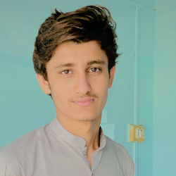 Waqas Ahmed-Freelancer in Sargodha,Pakistan