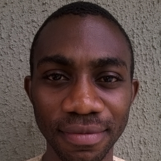 Bukola Oladapo-Freelancer in Lagos,Nigeria