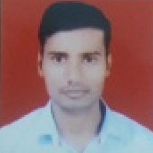 Sushil Kumar-Freelancer in Noida,India