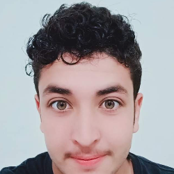 Shayan Shah-Freelancer in Batkhela,Pakistan