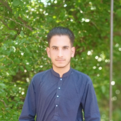 HAMZA ALI-Freelancer in Muzaffarabad,Pakistan
