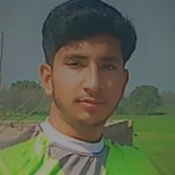 Hamza Jutt-Freelancer in Lahore,Pakistan
