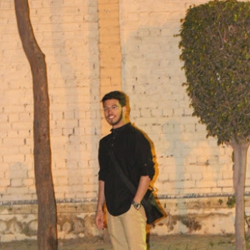 Aman Mehrotra-Freelancer in ,India
