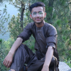 Ateeq Awan-Freelancer in Manshera,Pakistan