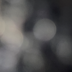 Priya Pnen-Freelancer in Dehiwala-Mount Lavinia,Sri Lanka