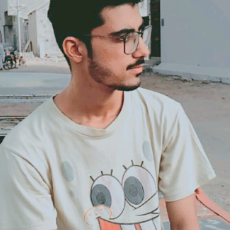 Muhammad Anas-Freelancer in Karachi City,Pakistan