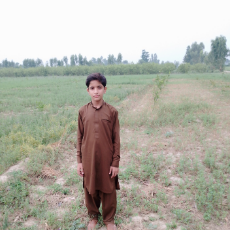 Sarwat Shabeer-Freelancer in Sargodha,Pakistan