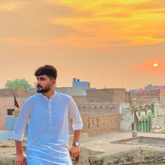 Muhammad Abdullah-Freelancer in Chota Sahiwal,Pakistan