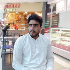 Salman Saeed-Freelancer in Islamabad,Pakistan
